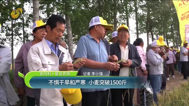 【史丹利·星光農(nóng)場】不懼干旱和嚴寒 小麥突破1500斤