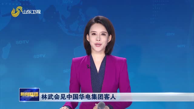 林武会见中国华电集团客人