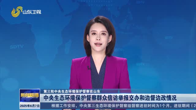 中央生态环境保护督察群众信访举报交办和边督边改情况【第三轮中央生态环境保护督察在山东】