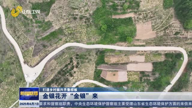 金银花开“金银”来【打造乡村振兴齐鲁样板】
