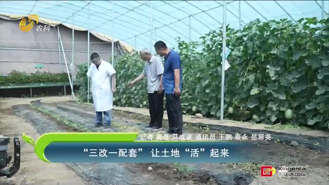 “三改一配套” 讓土地“活”起來