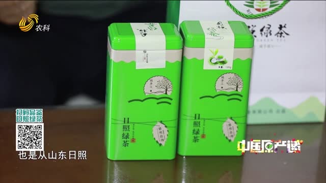 20250607《中国原产递》：日照绿茶