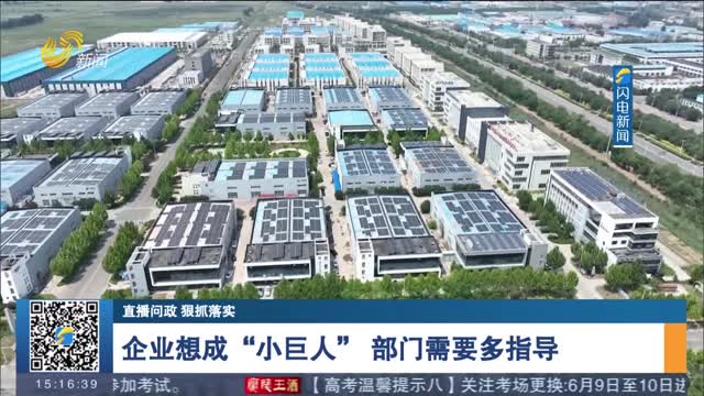 【直播问政 狠抓落实】企业想成“小巨人” 部门需要多指导