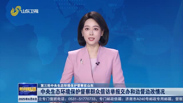 中央生态环境保护督察群众信访举报交办和边督边改情况【第三轮中央生态环境保护督察在山东】