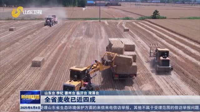 全省麦收已近四成【“三夏”一线】