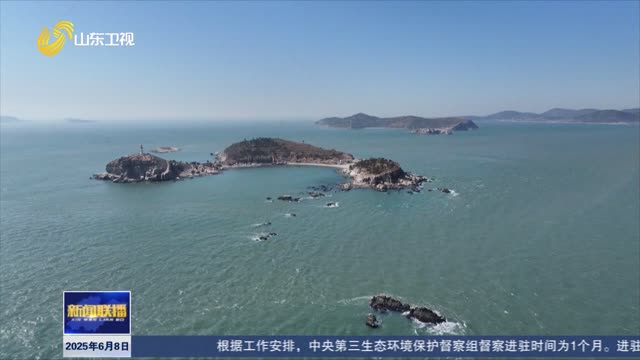 保护海洋生态系统 人与自然和谐共生【世界海洋日】
