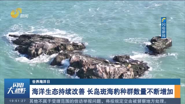 【世界海洋日】海洋生态持续改善 长岛斑海豹种群数量不断增加