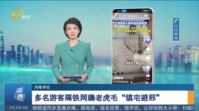 【闪电评论】破除 “老虎毛镇宅避邪”的迷信 要借助法治和科学的力量