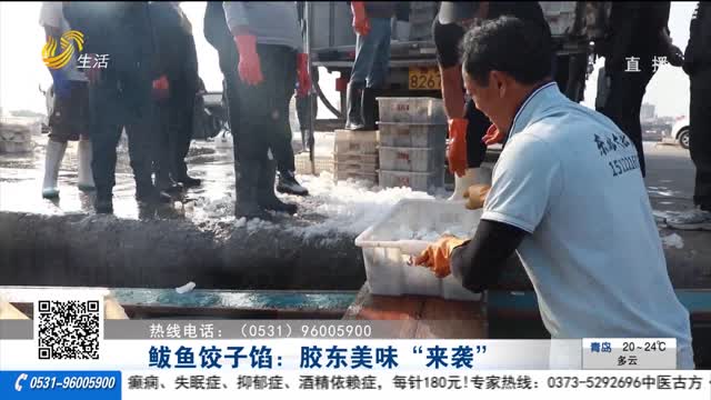 鲅鱼饺子馅：胶东美味“来袭”