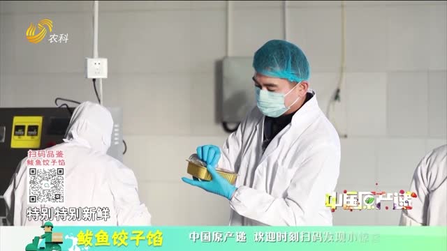20250608《中国原产递》：鲅鱼饺子馅