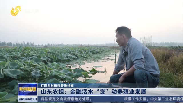 山东农担：金融活水“贷”动养殖业发展【打造乡村振兴齐鲁样板】