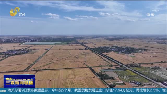【“三夏”生产进行时】科技赋能从收到贮 助力粮食颗粒归仓
