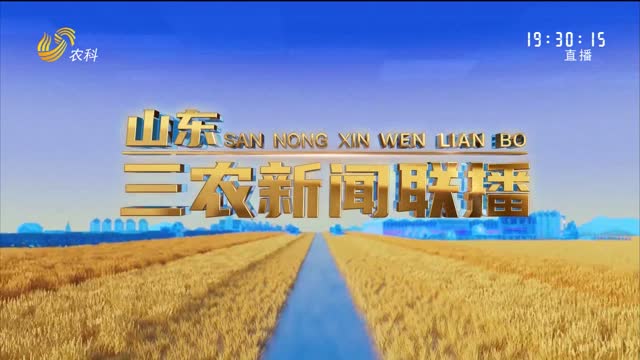 2025年06月09日山东三农新闻联播完整版