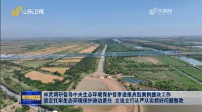 林武调研督导中央生态环境保护督察通报典型案例整改工作 坚定扛牢生态环境保护政治责任 立说立行从严从实抓好问题整改
