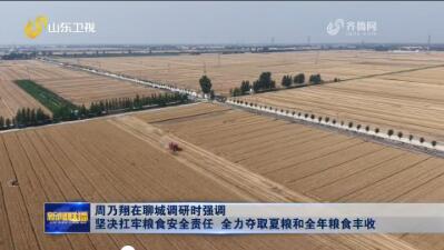 周乃翔在聊城调研时强调 坚决扛牢粮食安全责任 全力夺取夏粮和全年粮食丰收