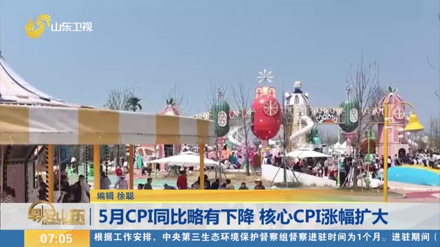 5月CPI同比略有下降 核心CPI涨幅扩大