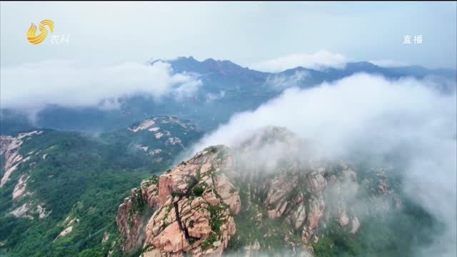 栖霞：夏日云海邂逅一场云端浪漫