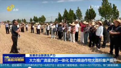【发展农业新质生产力】大力推广滴灌水肥一体化 助力粮油作物大面积单产提升