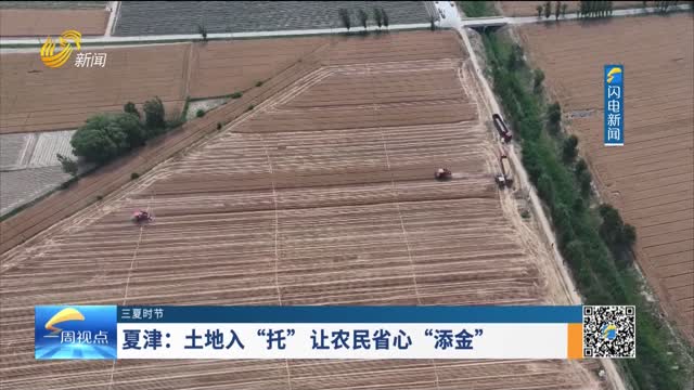 【三夏时节】夏津：土地入“托” 让农民省心“添金”