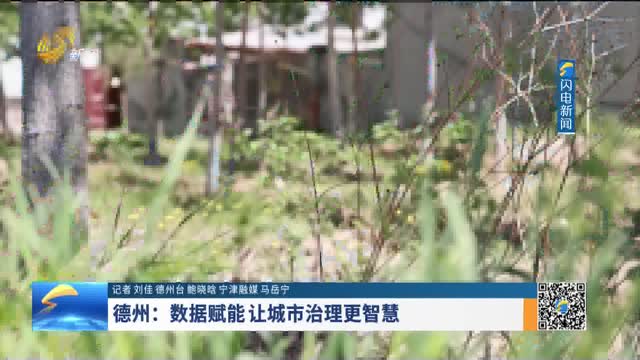 德州：数据赋能 让城市治理更智慧