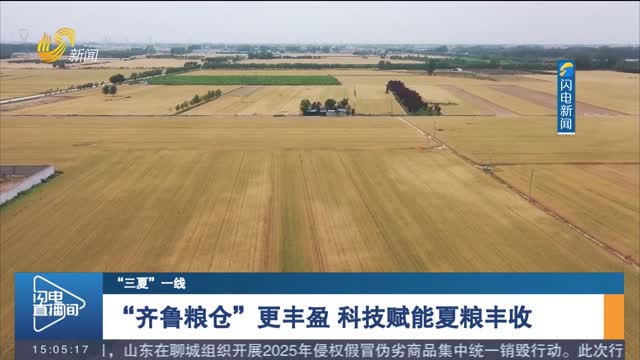 【“三夏”一线】“齐鲁粮仓”更丰盈 科技赋能夏粮丰收