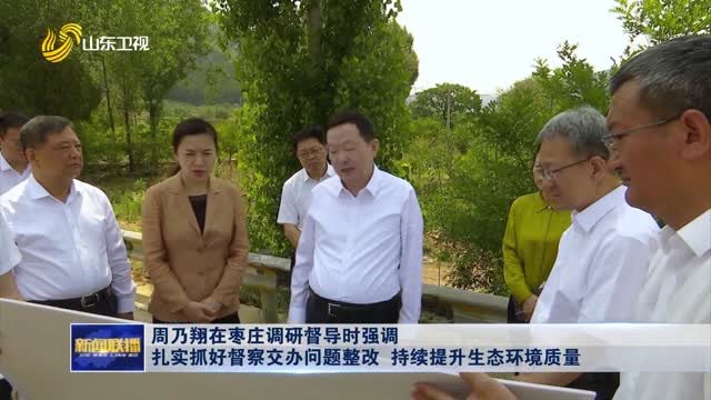 周乃翔在枣庄调研督导时强调 扎实抓好督察交办问题整改 持续提升生态环境质量
