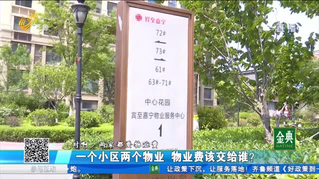青岛城阳：一个小区两家物业 这是咋回事？
