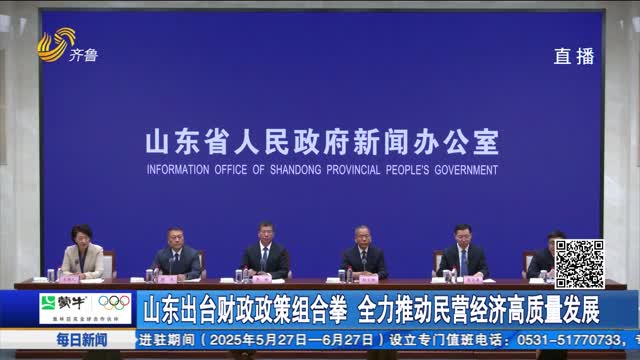 山东出台财政政策组合拳 全力推动民营经济高质量发展