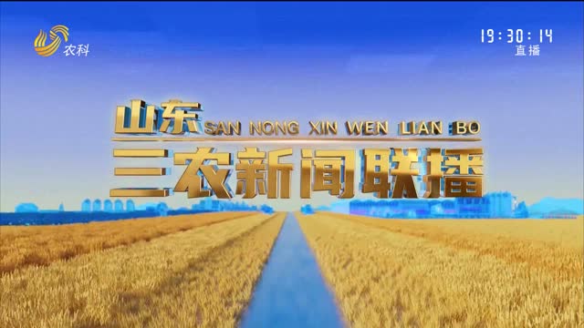 2025年06月11日山东三农新闻联播完整版