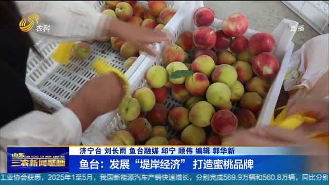 【促进农民增收】鱼台：发展“堤岸经济” 打造蜜桃品牌