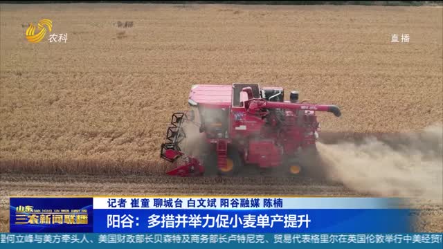 【“麦”向丰收】阳谷：多措并举力促小麦单产提升