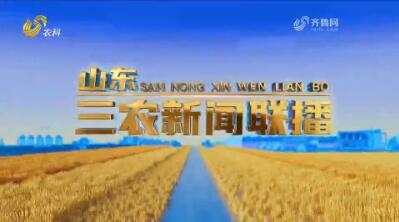2025年06月10日山东三农新闻联播完整版