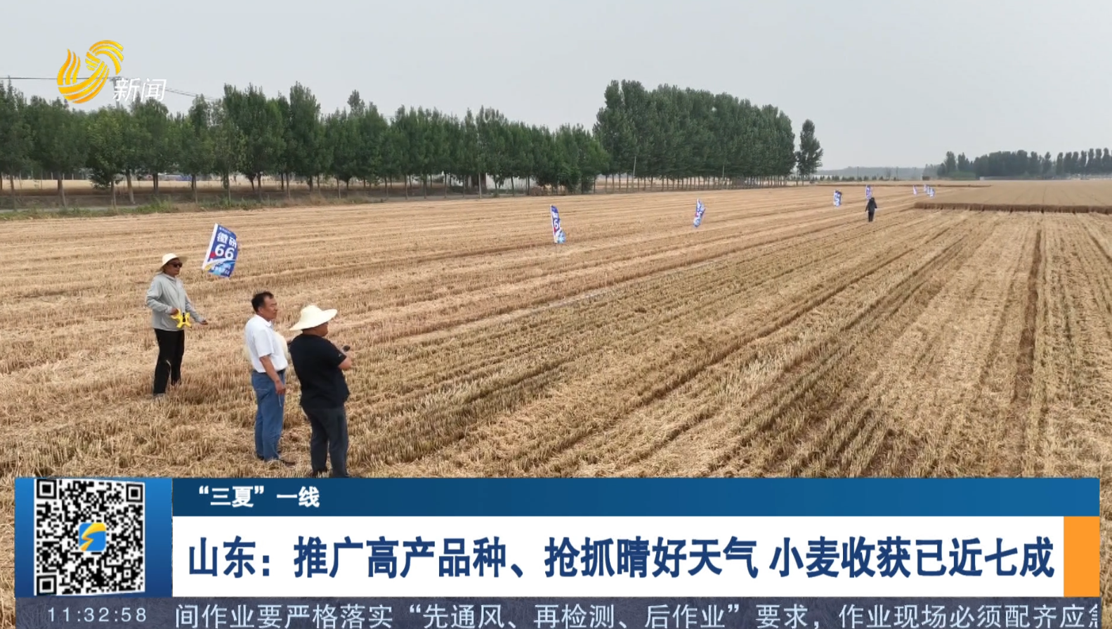 【“三夏”一线】山东：推广高产品种、抢抓晴好天气 小麦收获已近七成