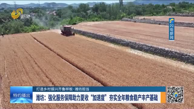 【打造乡村振兴齐鲁样板·潍坊担当】潍坊：强化服务保障助力夏收“加速度” 夯实全年粮食稳产丰产基础