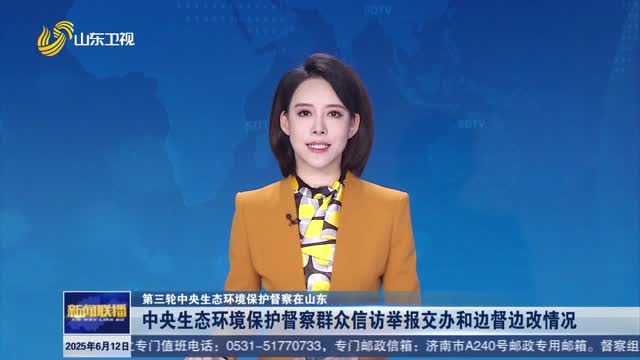 中央生态环境保护督察群众信访举报交办和边督边改情况【第三轮中央生态环境保护督察在山东】