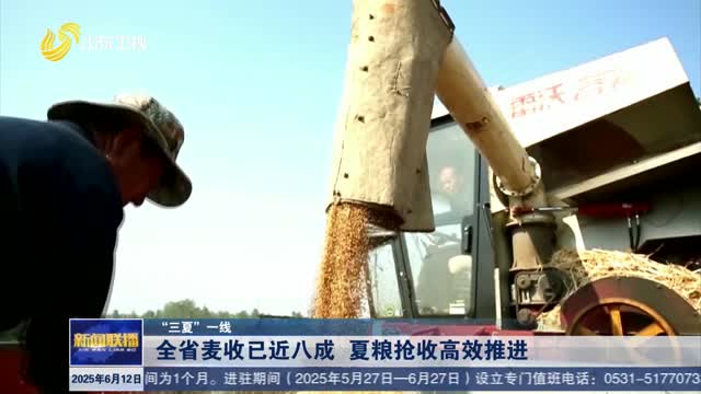 全省麦收已近八成 夏粮抢收高效推进【“三夏”一线】
