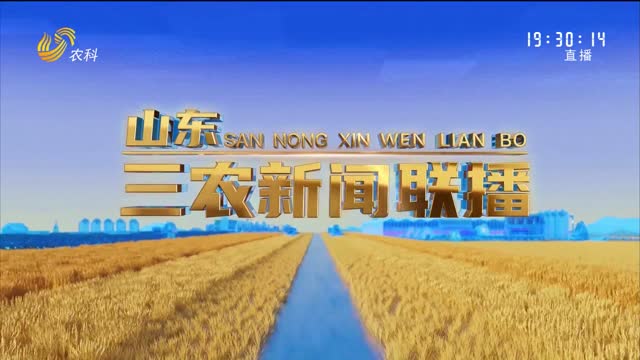 2025年06月12日山东三农新闻联播完整版
