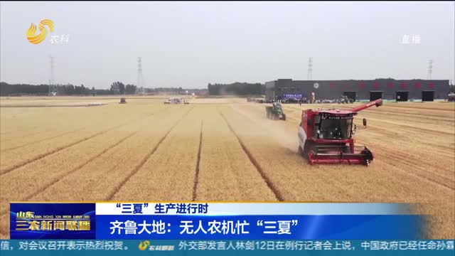 【“三夏”生产进行时】齐鲁大地：无人农机忙“三夏”
