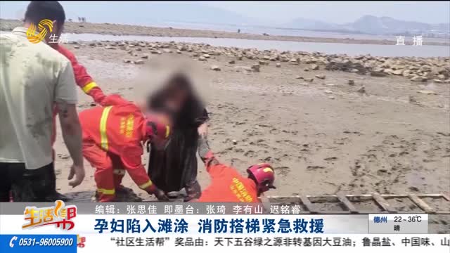 孕妇陷入滩涂 消防搭梯紧急救援