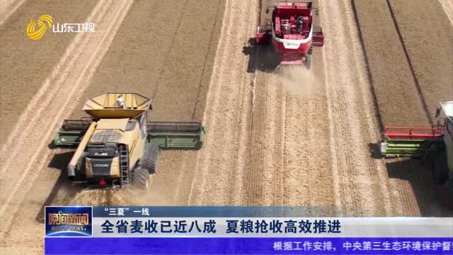 【“三夏”一线】全省麦收已近八成 夏粮抢收高效推进