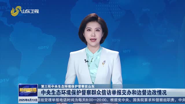 中央生态环境保护督察群众信访举报交办和边督边改情况【第三轮中央生态环境保护督察在山东】