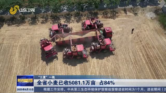 全省小麦已收5081.1万亩 占84%【“三夏”一线】