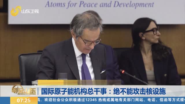 国际原子能机构总干事：绝不能攻击核设施