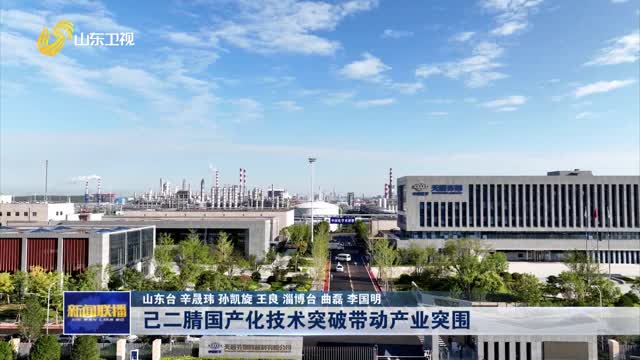 己二腈国产化技术突破带动产业突围【聚焦工业经济“头号工程”】