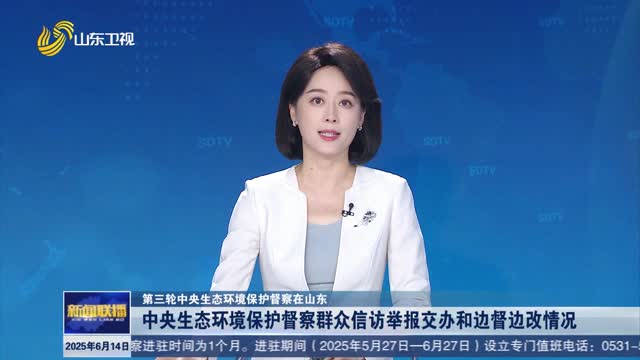 中央生态环境保护督察群众信访举报交办和边督边改情况【第三轮中央生态环境保护督察在山东】