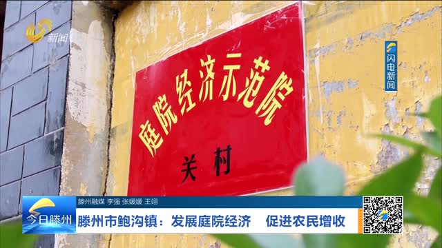 滕州市鲍沟镇：发展庭院经济 促进农民增收