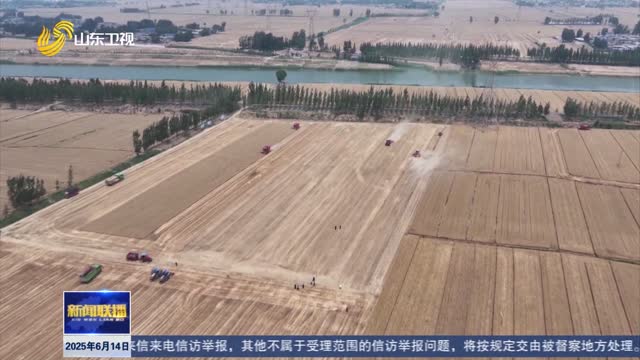 全省麦收已过九成 玉米播种超六成【“三夏”一线】