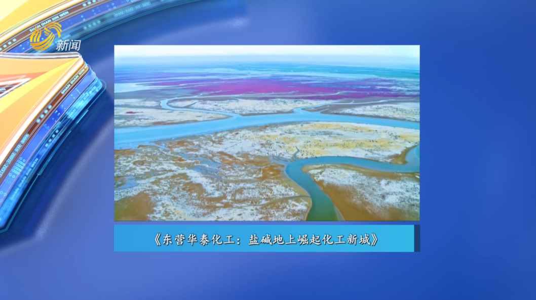 20250614《走进深蓝》：东营华泰化工——盐碱地上崛起化工新城