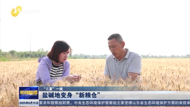 盐碱地变身“新粮仓”【“三夏”一线】