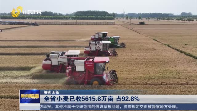 全省小麦已收5615.8万亩 占92.8%【“三夏”一线】